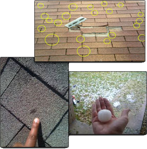 Rooster Exteriors Images