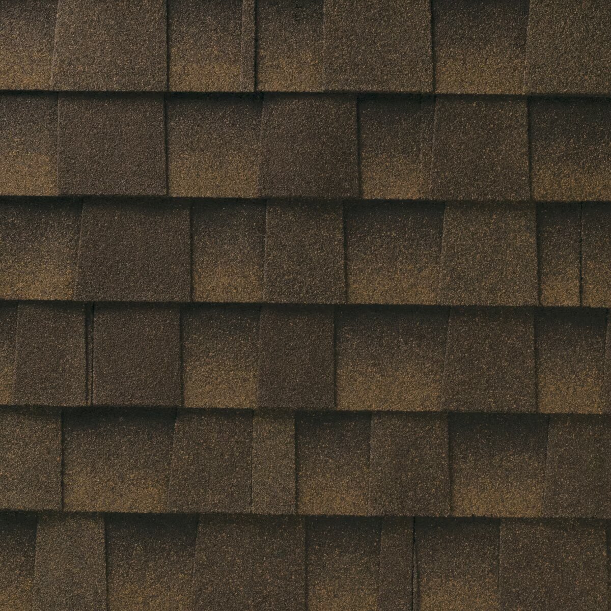 Rooster Exteriors Images