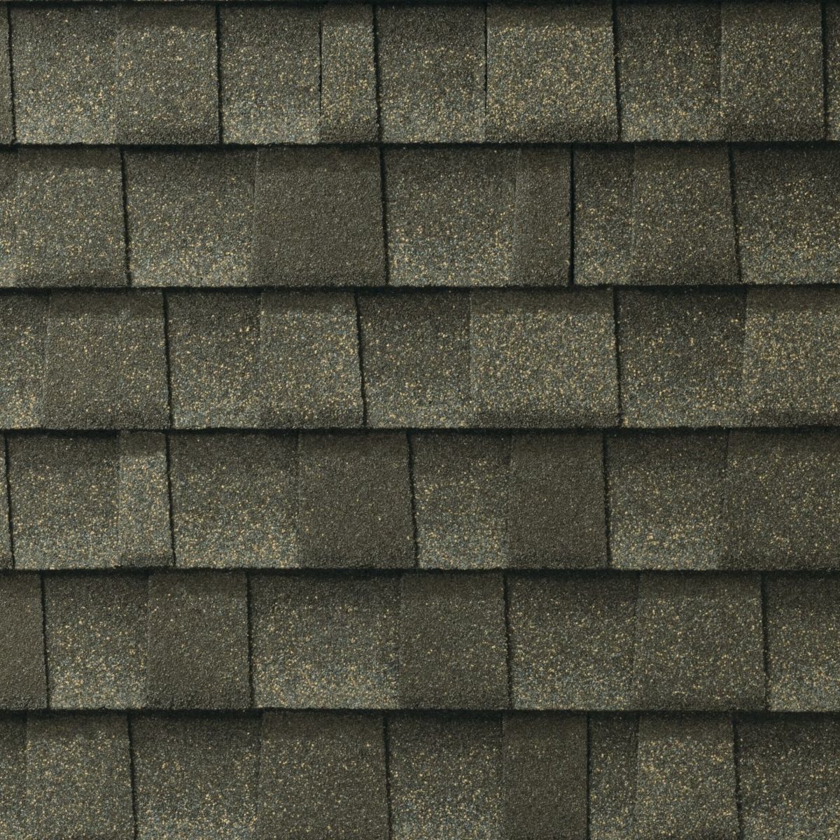 Rooster Exteriors Images