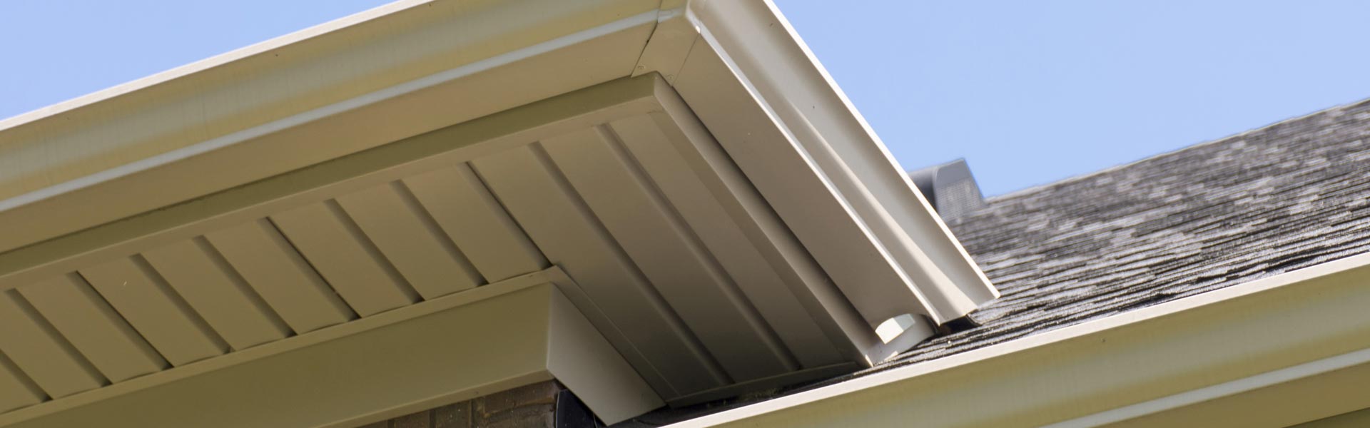 Rooster Exteriors Images